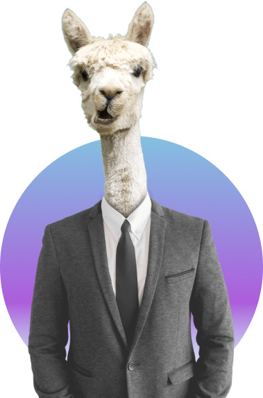 Llama in a suit